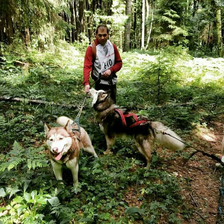 ���� 36227274 ������� �������, 48 ���, ���� ���������� � �����-����������