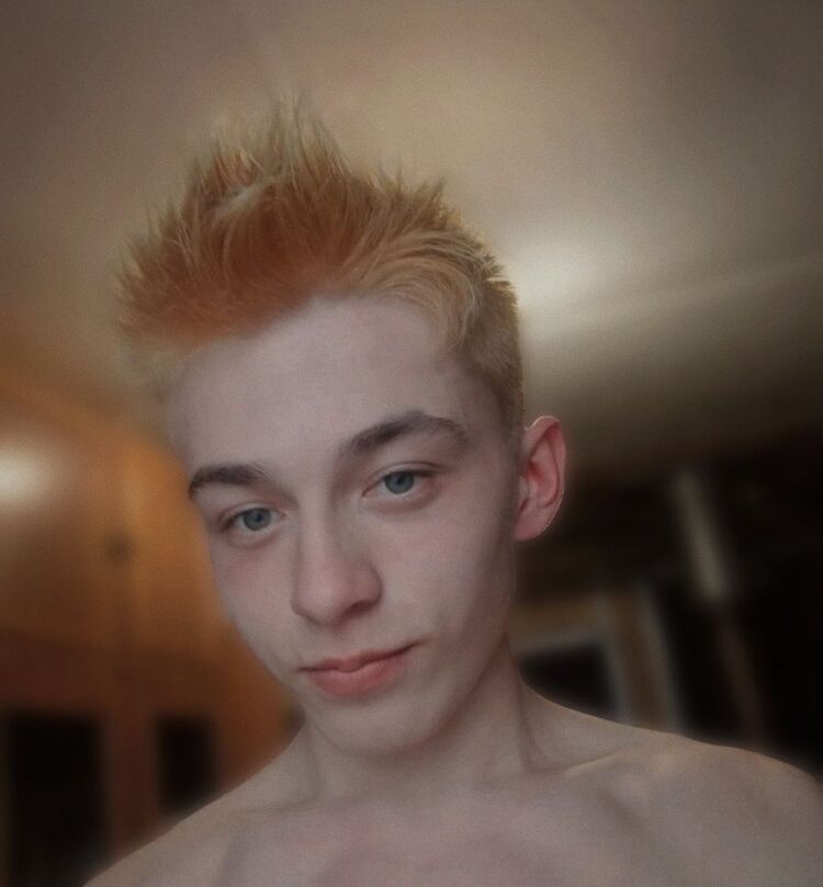 27516564  , 21 ,    