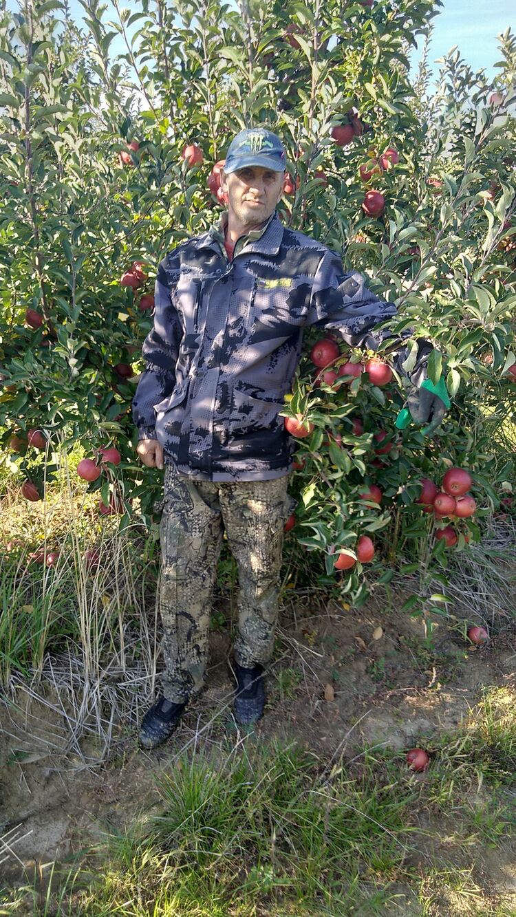 ���������� ����, ���� ������� �����, 48 ���, ������������ ��� ������, ����� � ���������, c�������� ���������, ���������