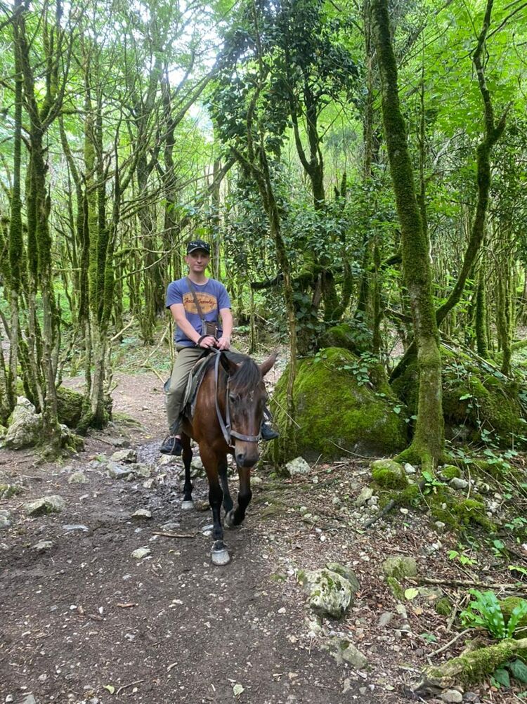 ���������� �����������, ���� ������� ����, 41 ���, ������������ ��� ������, ����� � ���������, c�������� ���������, ���������