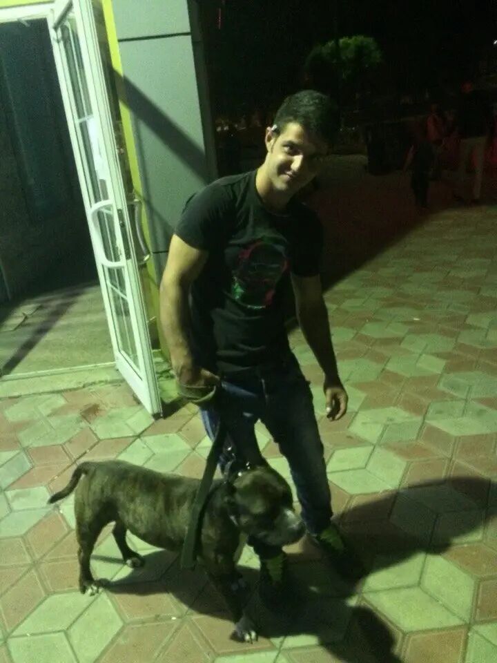 ���������� ���������, ���� ������� �������, 32 ����, ������������ ��� ����� � ���������, c�������� ���������