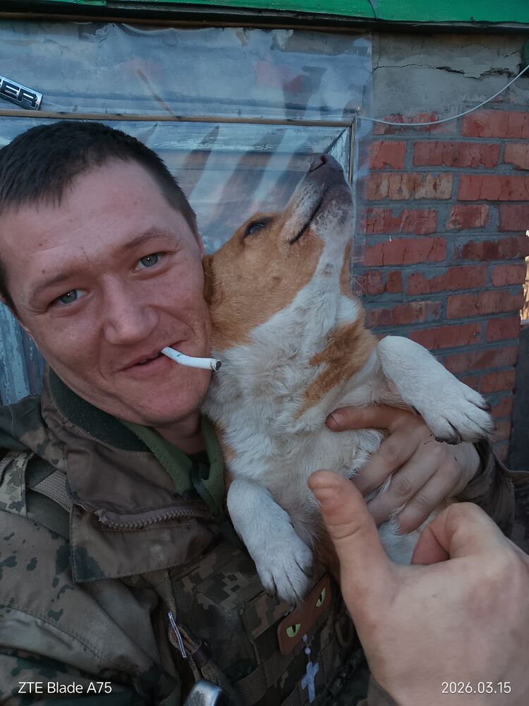 ���� 56116684 ������� �������, 41 ���, ���� ���������� � ��������