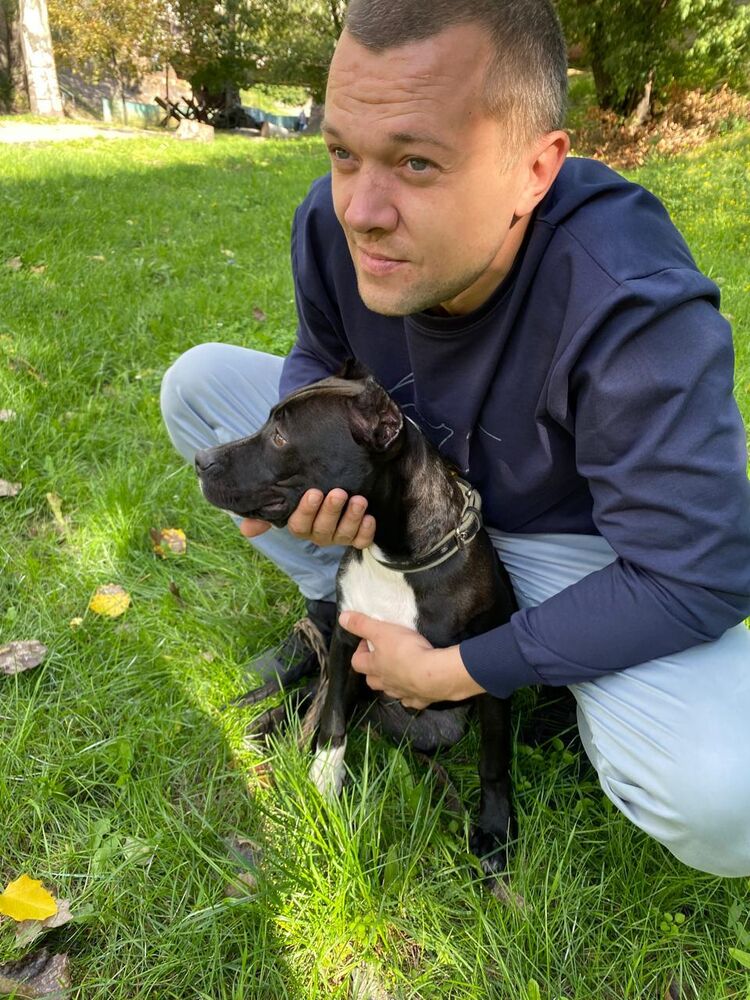 ���� 55497094 ������� ����, 34 ����, ���� ���������� � ���������