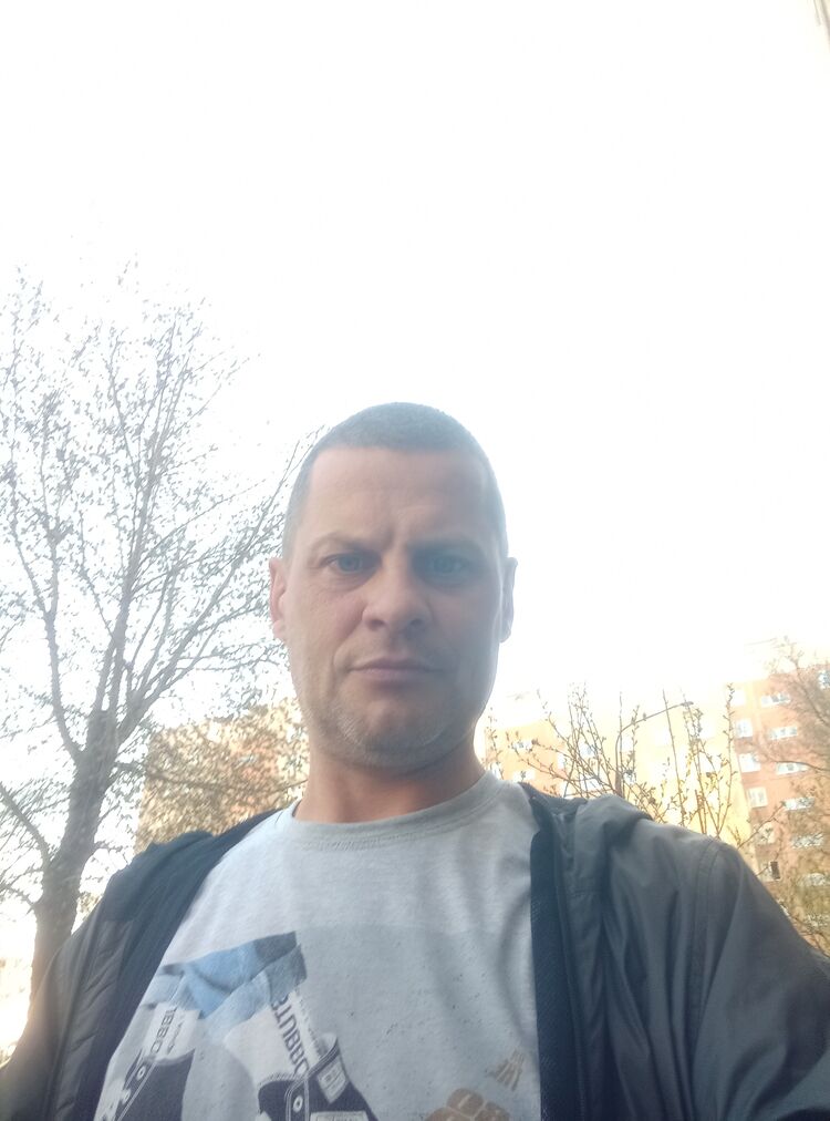  42648164  , 44 ,    