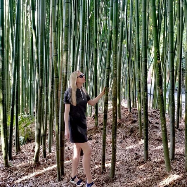 ���������� ���������, ���� ������� ������, 34 ����, ������������ ��� ������, ����� � ���������, c�������� ���������