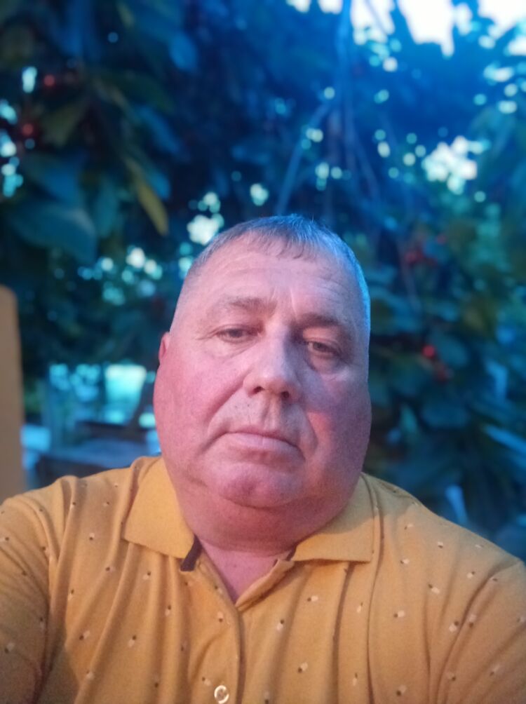  43583844  , 56 ,    