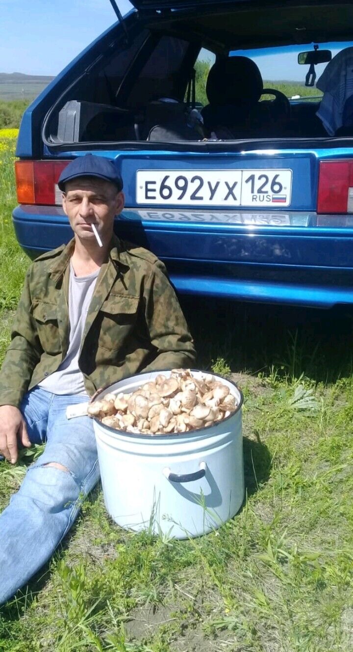  24521634  , 45 ,     