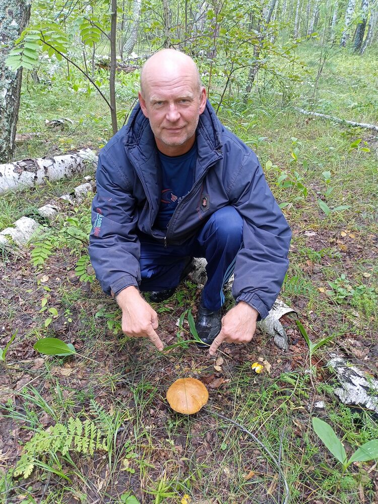  ,   , 51 ,   ,   