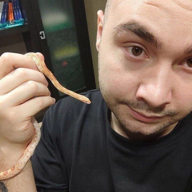 ���� 33122814 ������� ����, 27 ���, ���� ���������� � ��������