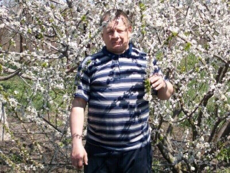  ,   , 60 ,   ,   