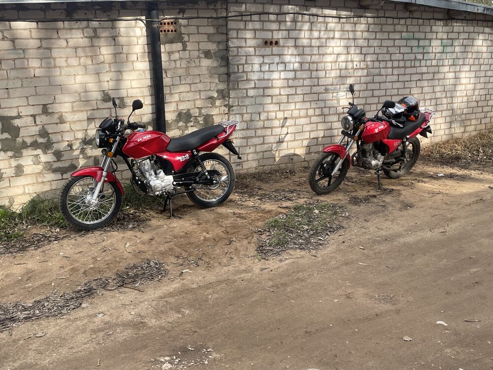  49680314  , 19 ,    