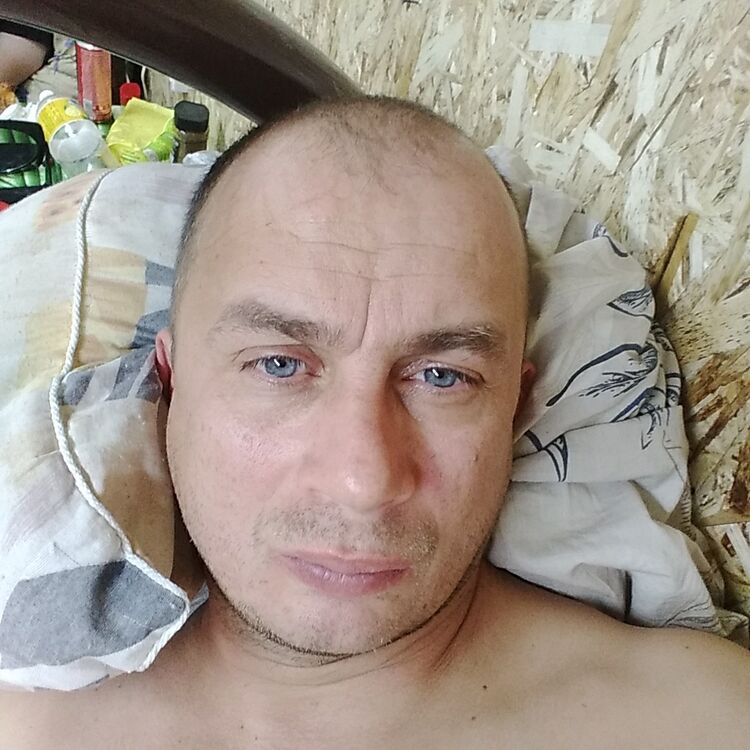  42550654  , 44 ,    