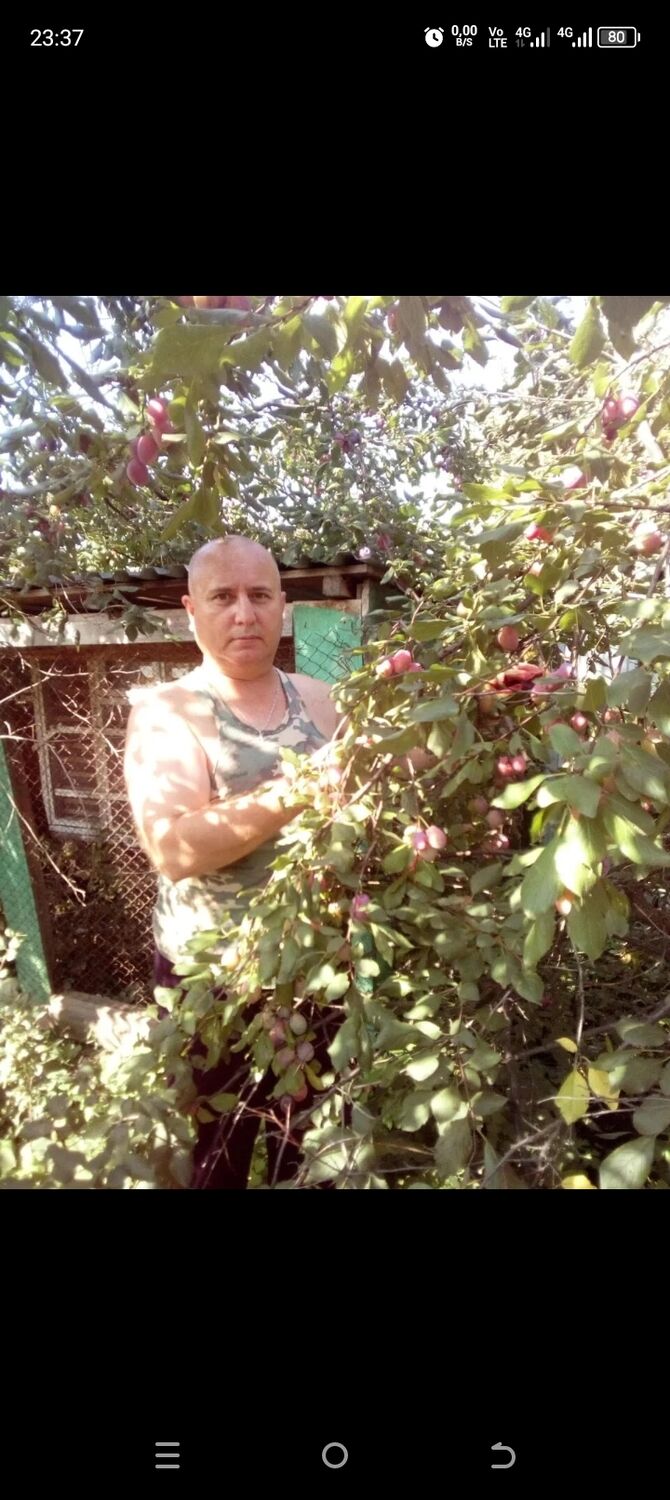  -,   , 56 ,   ,   , c 
