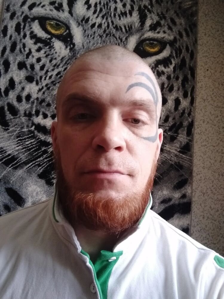  54404854  , 39 ,    -