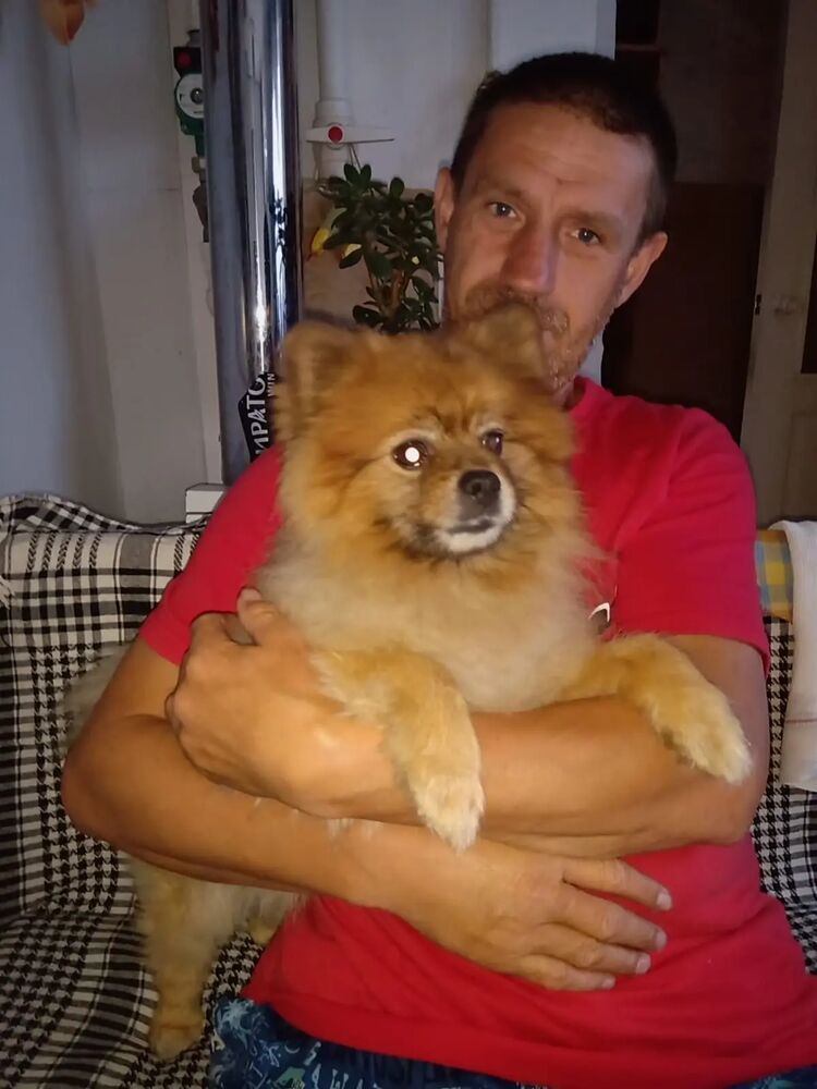 ���������� ���������, ���� ������� �������, 48 ���, ������������ ��� ������, ����� � ���������, c�������� ���������, ���������