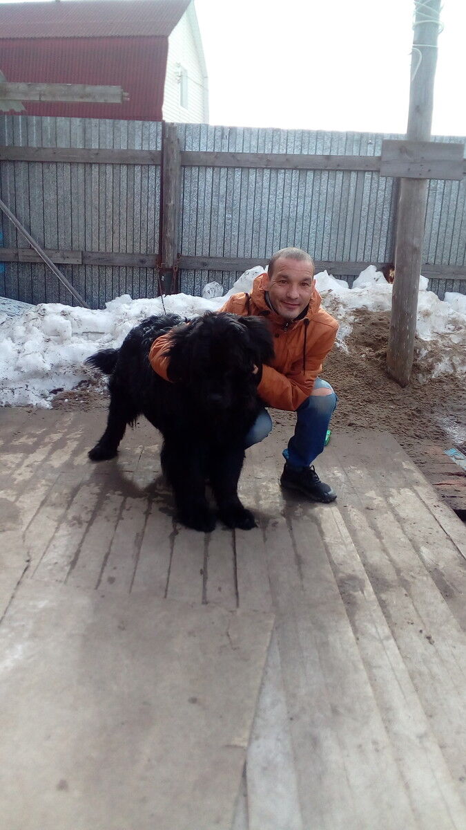 ���������� �����������, ���� ������� ������, 47 ���, ������������ 