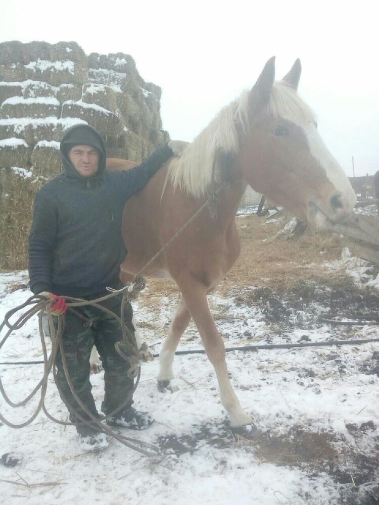  23036864  Aleksandr, 39 ,    