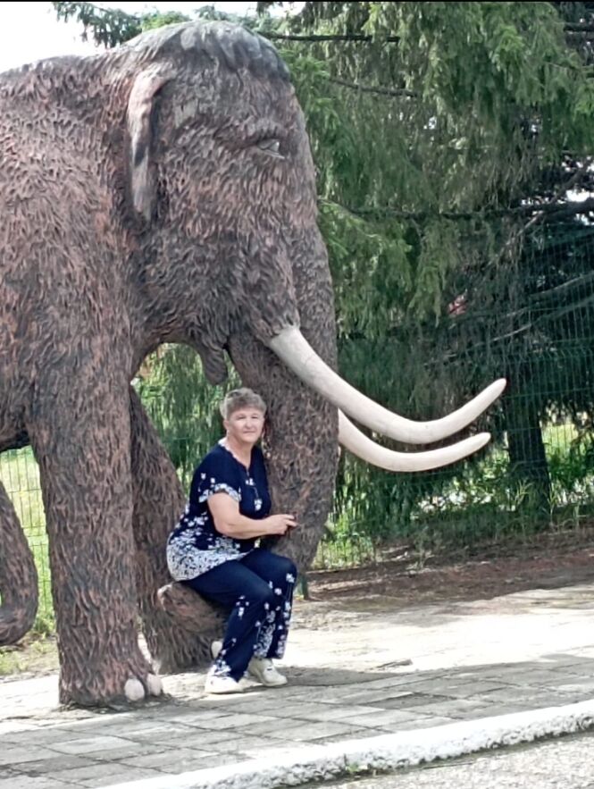 ���� 49794134 ������� ������, 64 ����, ���� ���������� � �����