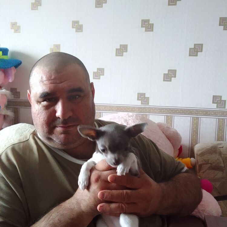 ���� 26596694 ������� �����, 48 ���, ���� ���������� � �������������