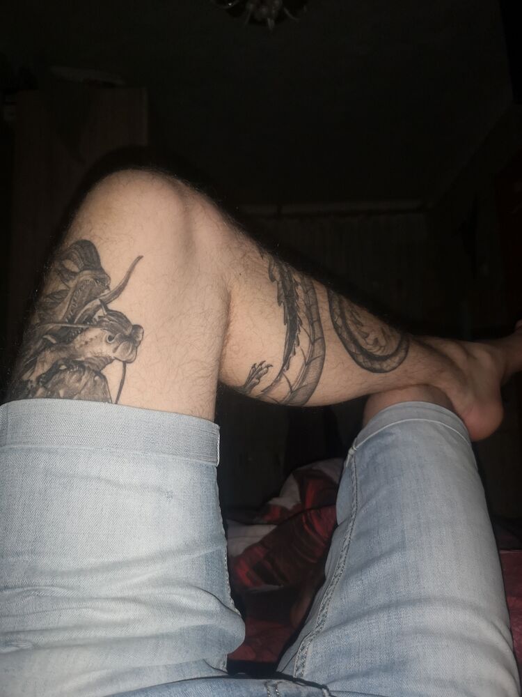  33068744  , 31 ,    
