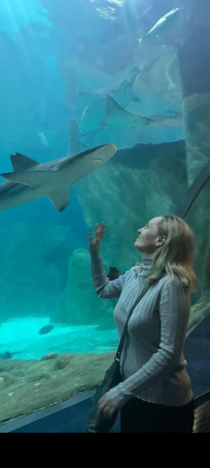 ���������� �����-���������, ���� ������� ������, 51 ���, ������������ ��� ������, ����� � ���������