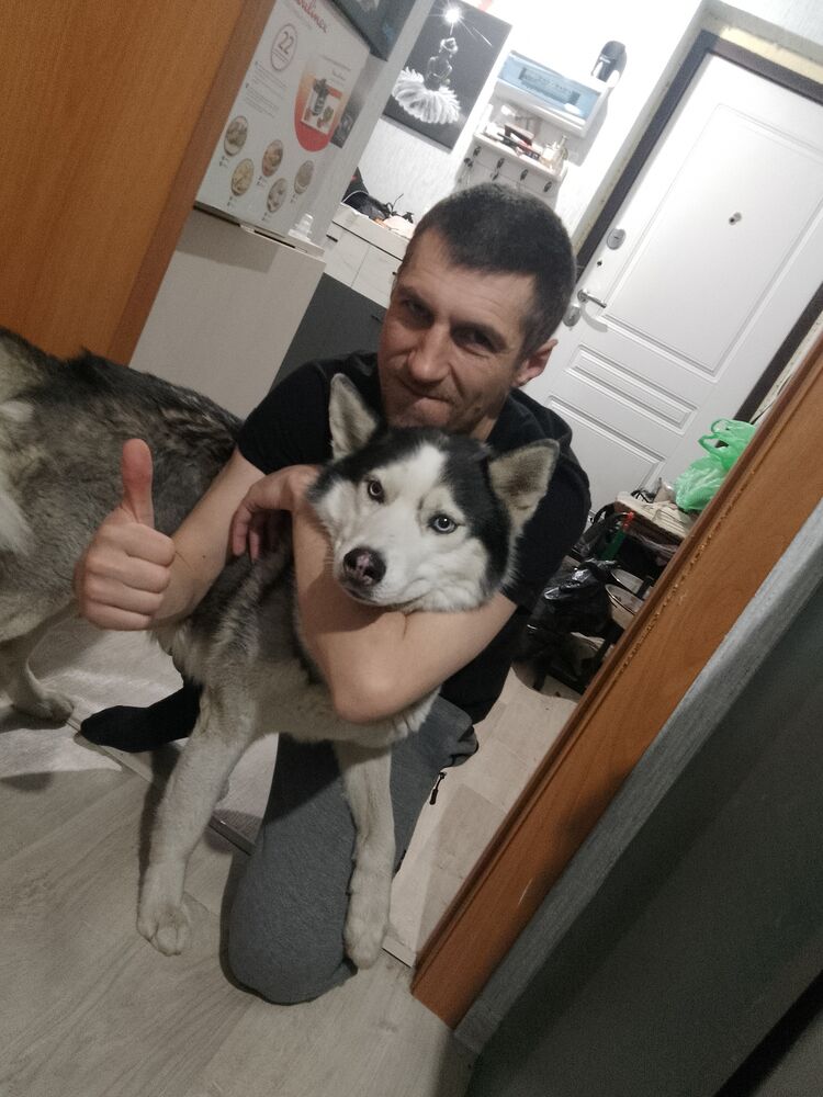 ���� 49611984 ������� ���������, 43 ����, ���� ���������� � ������