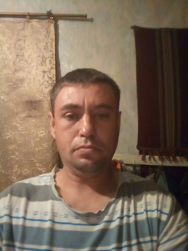  53887964  , 39 ,    