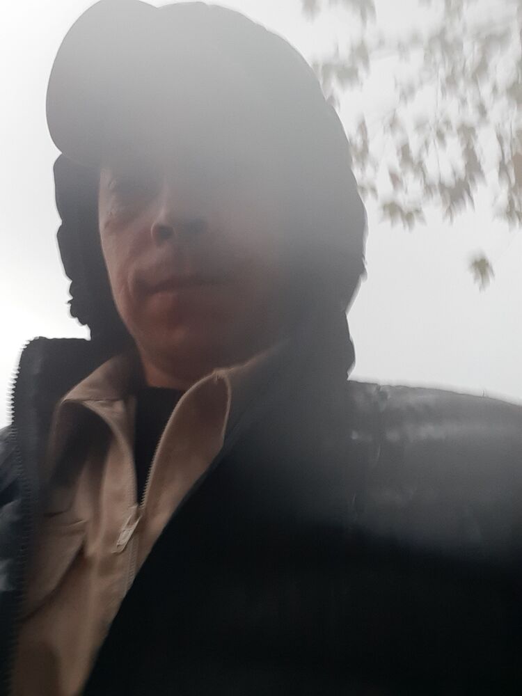  39398554  , 43 ,    