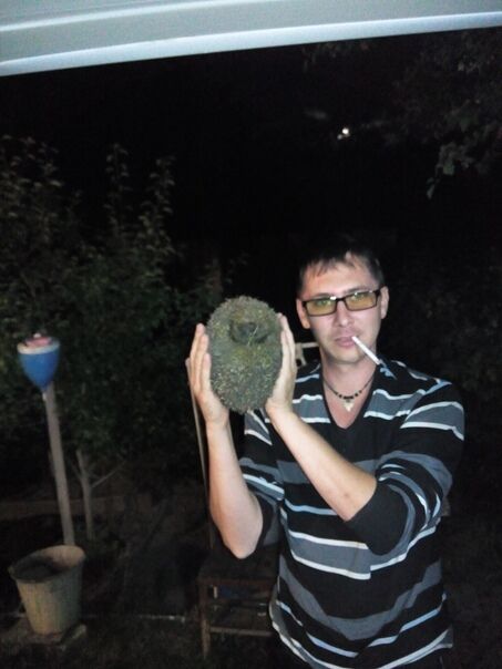 ���������� ������, ���� ������� �����, 44 ����, ������������ ��� ����� � ���������, c�������� ���������