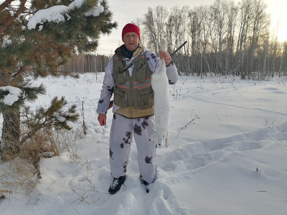 ���� 56278144 ������� ��������, 51 ���, ���� ���������� � ����������