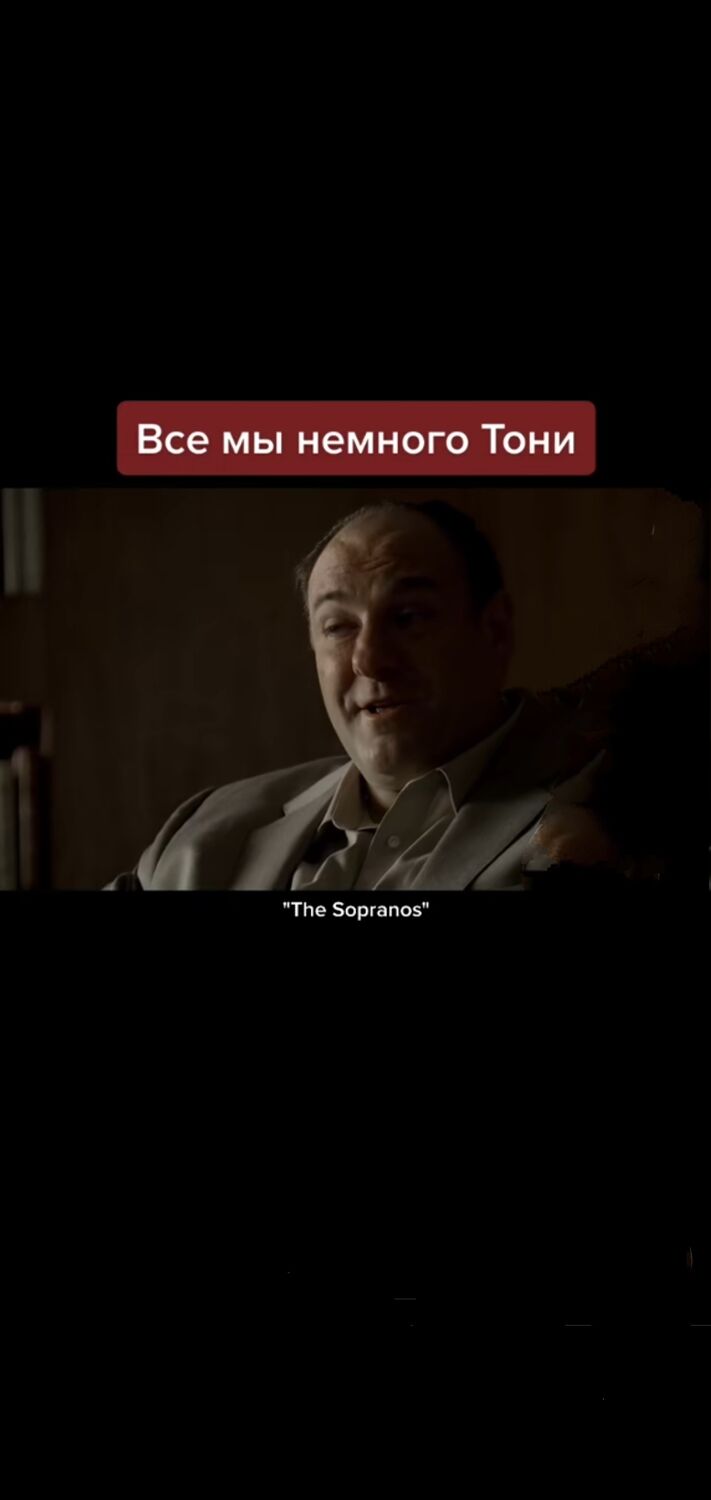  36151564  , 34 ,    