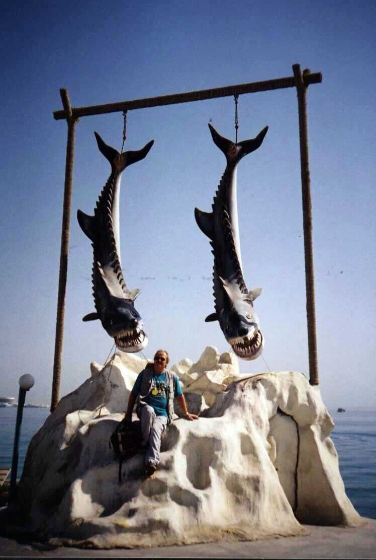  22989524  , 69 ,    