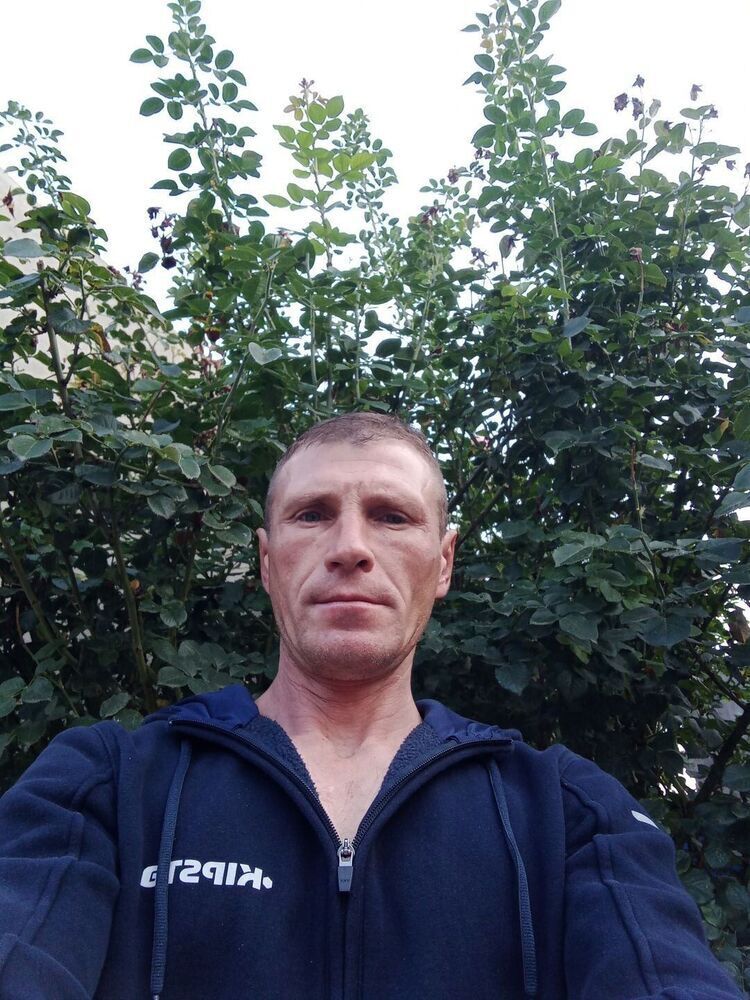  35762034  , 45 ,    