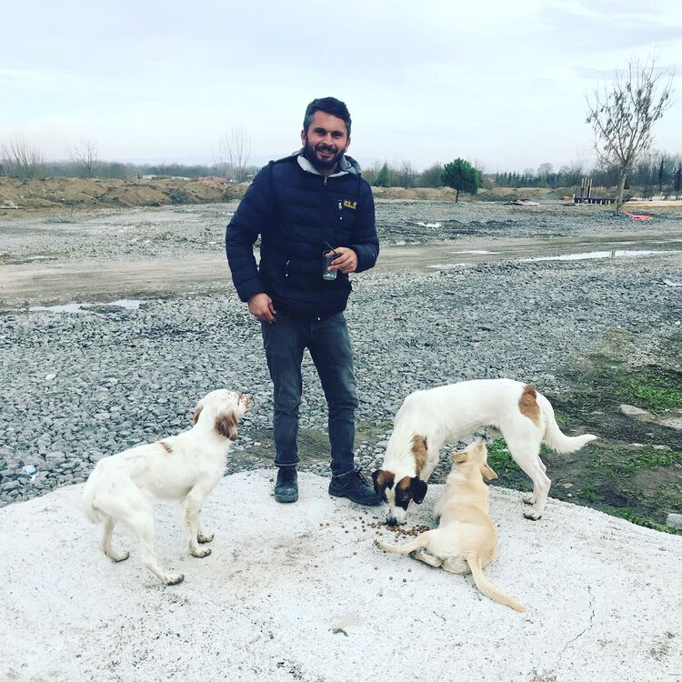 ���������� ����������, ���� ������� Soner, 36 ���, ������������ ��� ������, ����� � ���������