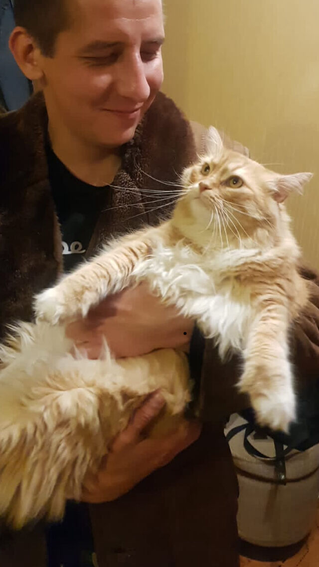 ���������� ������, ���� ������� ����, 33 ����, ������������ ��� ������, ����� � ���������, c�������� ���������, ���������