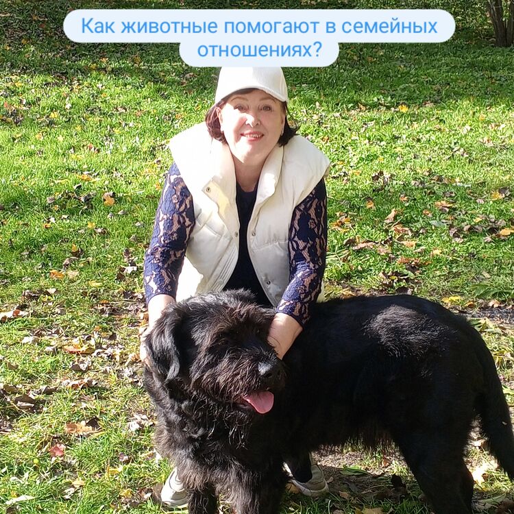 ���������� �����������, ���� ������� �������, 58 ���, ������������ ��� ������, ����� � ���������