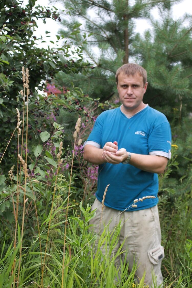 ���� 17696194 ������� ������, 48 ���, ���� ���������� � ���������