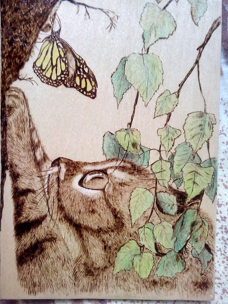 ���������� �����������, ���� ������� Alesya, 35 ���, ������������ 