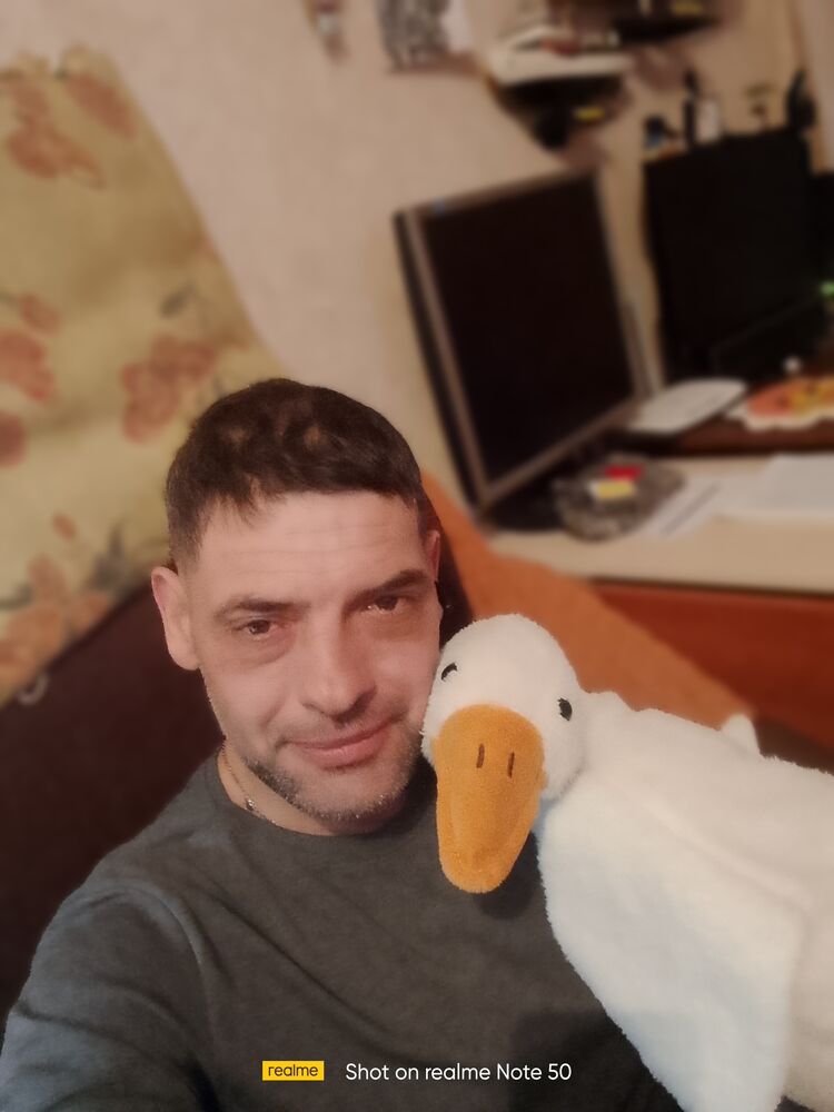  49948084  , 40 ,    