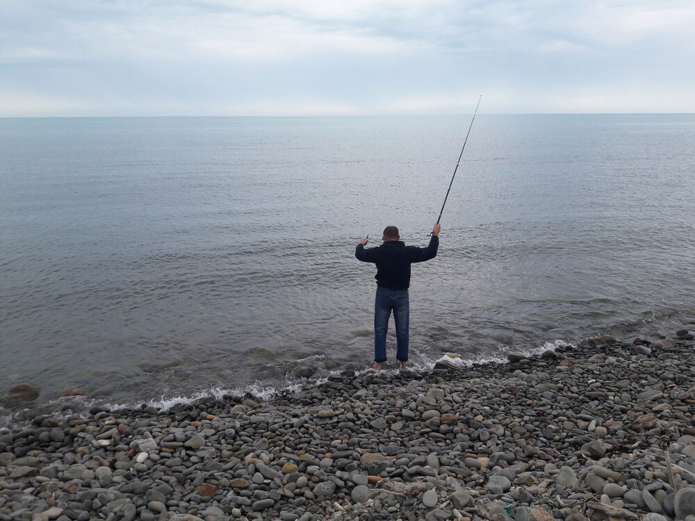  12026474  , 43 ,    -