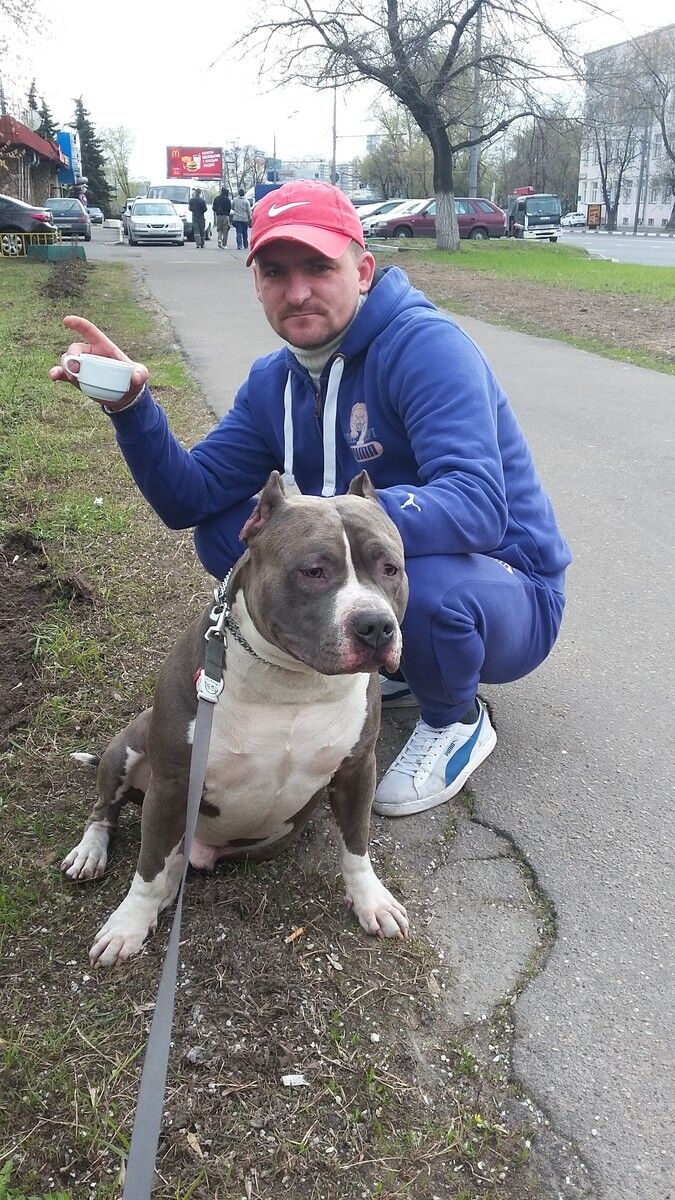 ���� 10486134 ������� �����, 45 ���, ���� ���������� � ������