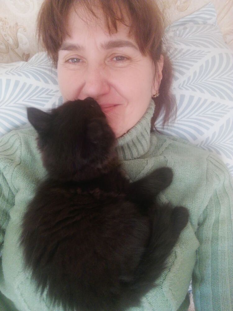 ,   , 54 ,   ,   