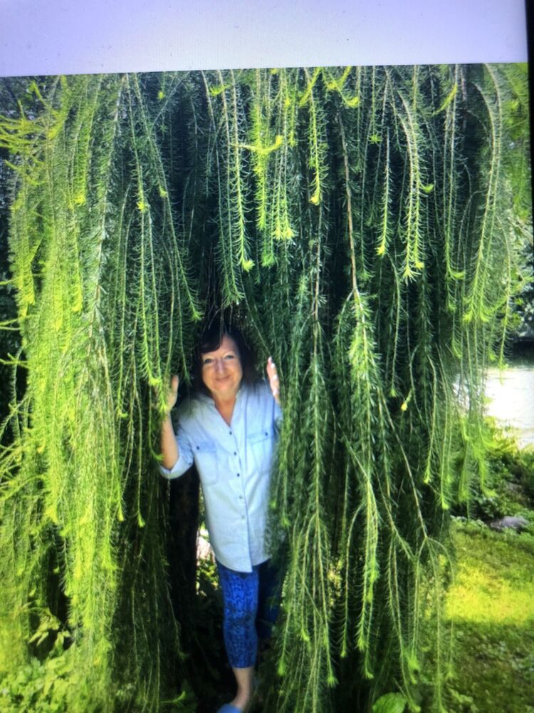 ���������� �������, ���� ������� ������, 58 ���, ������������ 