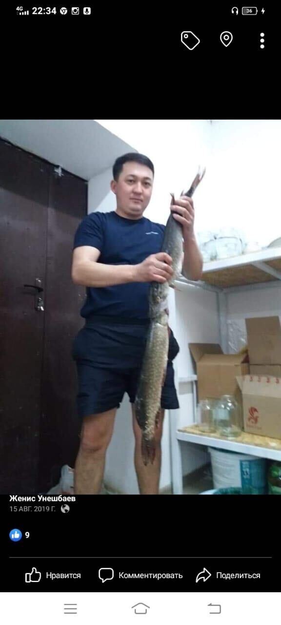 ���������� ������, ���� ������� �����, 38 ���, ������������ ��� ������, ����� � ���������, c�������� ���������, ���������