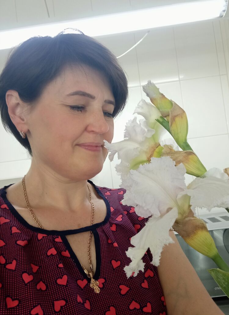 ���������� ������, ���� ������� ������, 50 ���, ������������ ��� ������, ����� � ���������, c�������� ���������, ���������