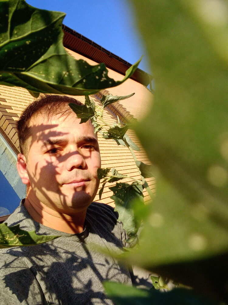 ���� 24654144 ������� ������, 34 ����, ���� ���������� � ������