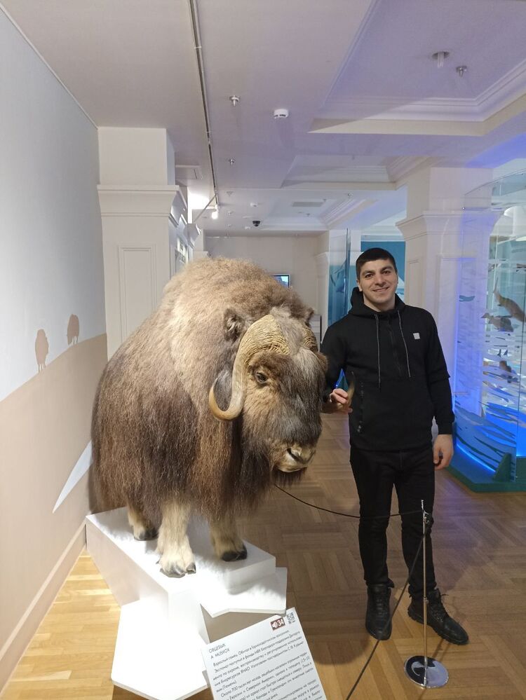 ���� 33490844 ������� �����, 30 ���, ���� ���������� � ��������