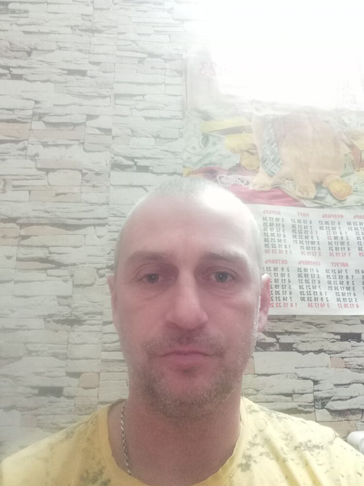  39431604  , 43 ,    