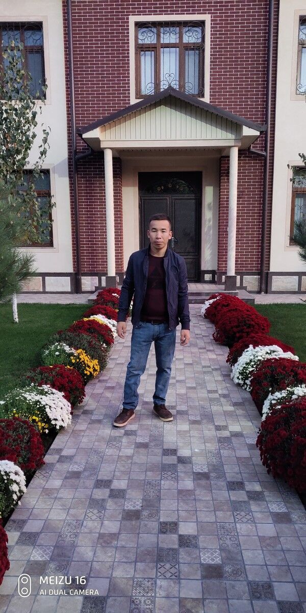  ,   Bohadir, 33 ,   ,   , c 