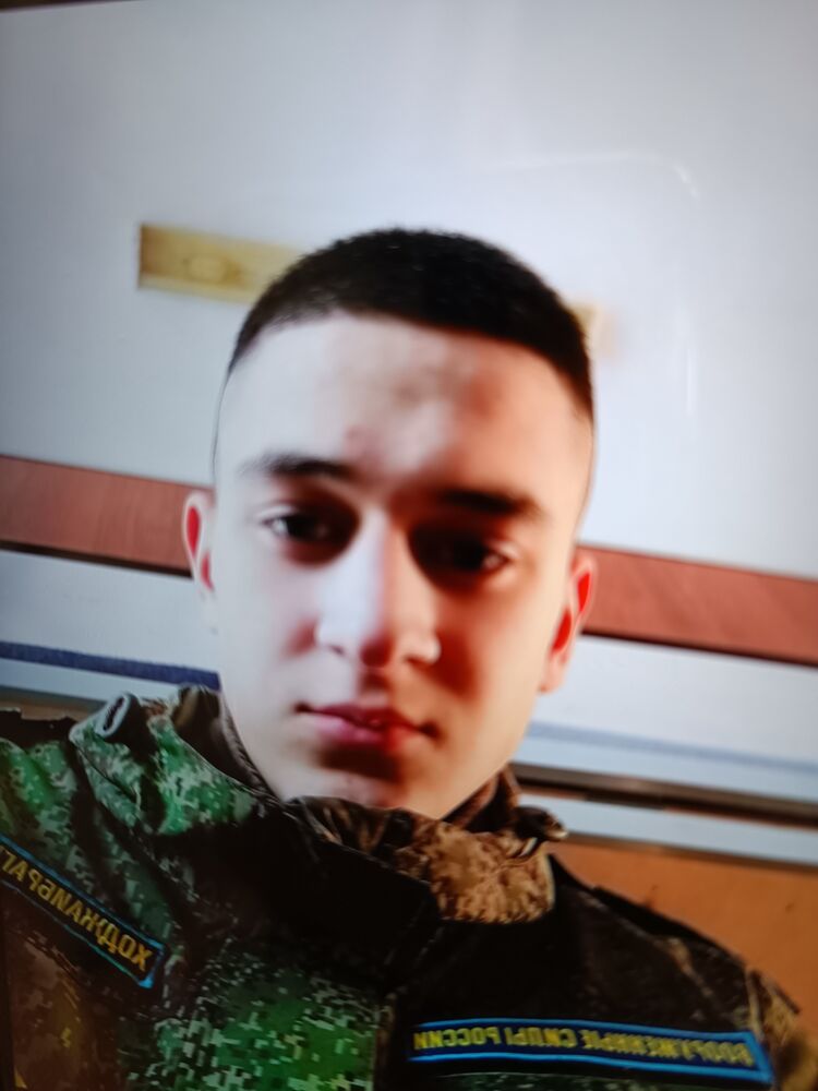  28167824  , 31 ,    